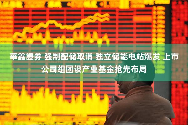 華鑫證券 强制配储取消 独立储能电站爆发 上市公司组团设产业基金抢先布局
