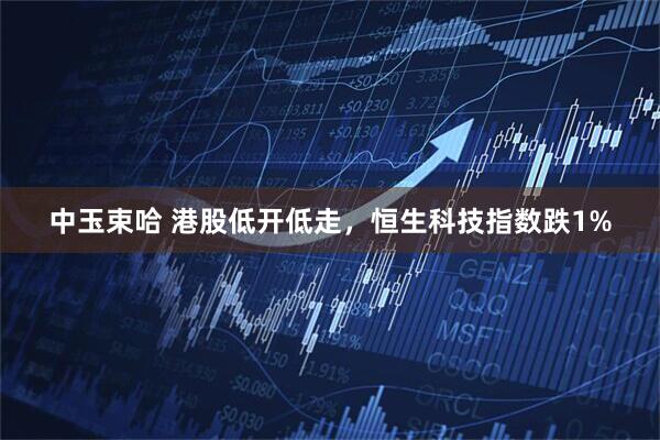 中玉束哈 港股低开低走，恒生科技指数跌1%