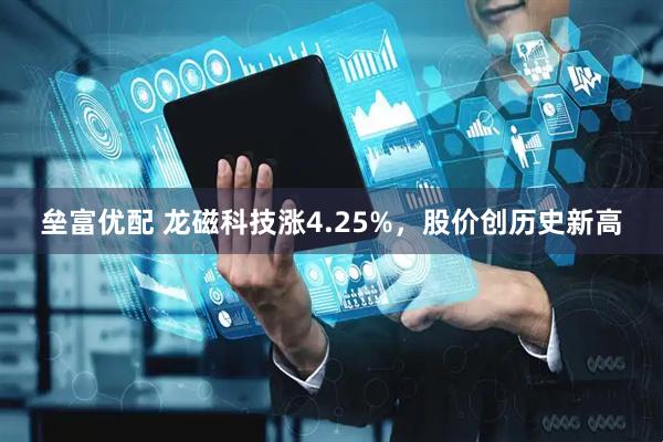 垒富优配 龙磁科技涨4.25%，股价创历史新高