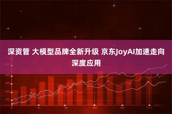 深资管 大模型品牌全新升级 京东JoyAI加速走向深度应用