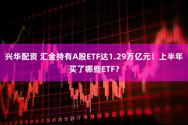 兴华配资 汇金持有A股ETF达1.29万亿元！上半年买了哪些ETF？